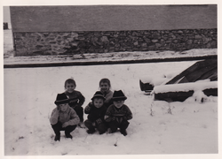 Dica u snigi u 1960-i ljeti