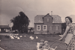 Meljcka lokva oko 1955. Meljcka lokva oko 1955.