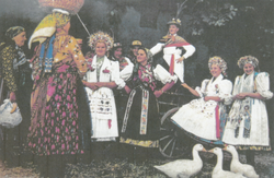 Scena u nošnja 1959. Scena u nošnja 1959.